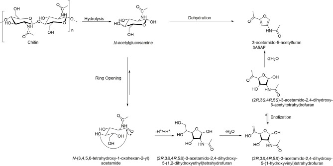 Scheme 4