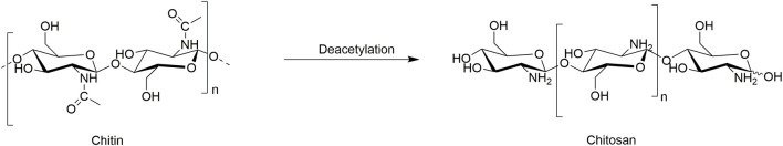 Scheme 3