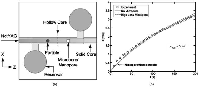 Fig. 6