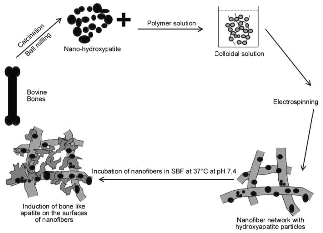 Figure 12