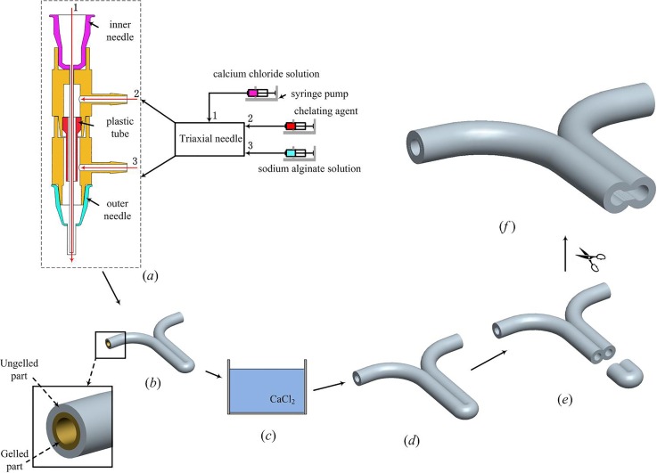 FIG. 1.