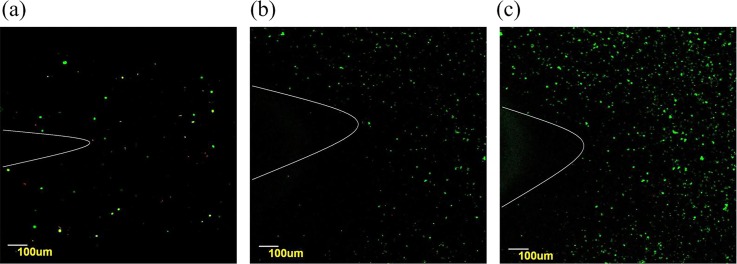 FIG. 7.