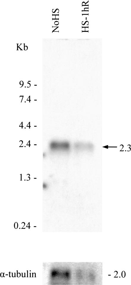 Fig 3.