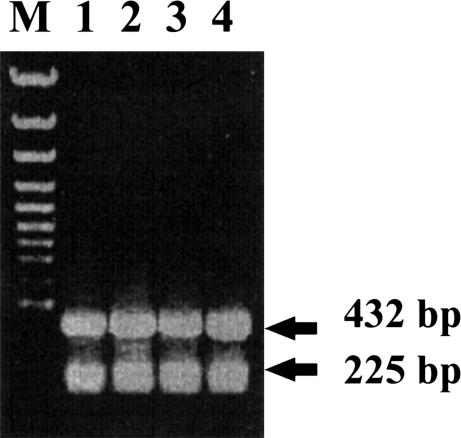 Fig 4.