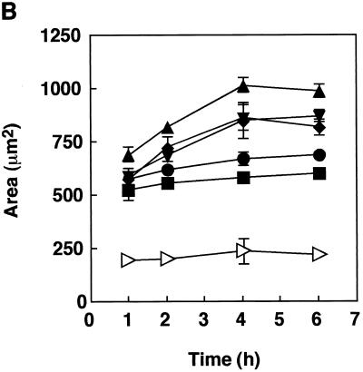 FIG. 3.