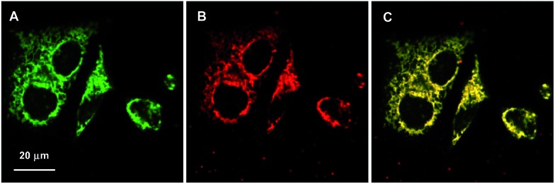 Fig. 4