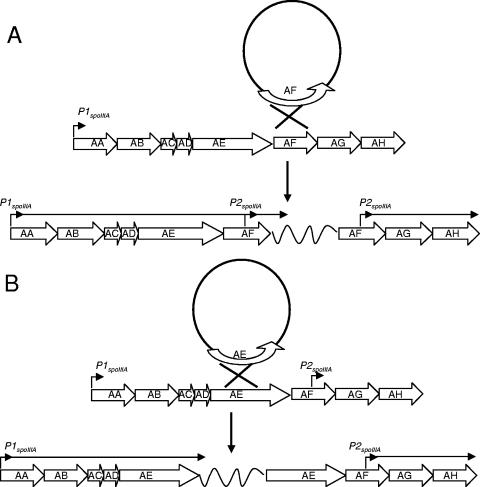 FIG. 7.