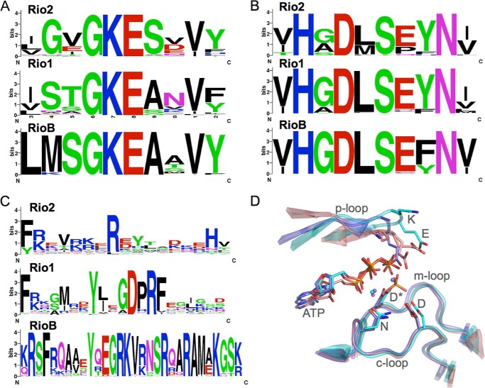 FIGURE 2.