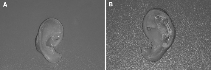 Fig. 6