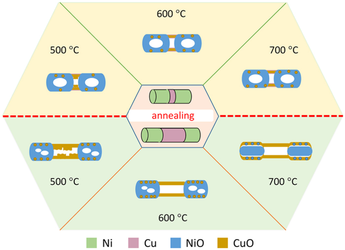 Figure 12