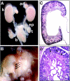 FIG. 7.