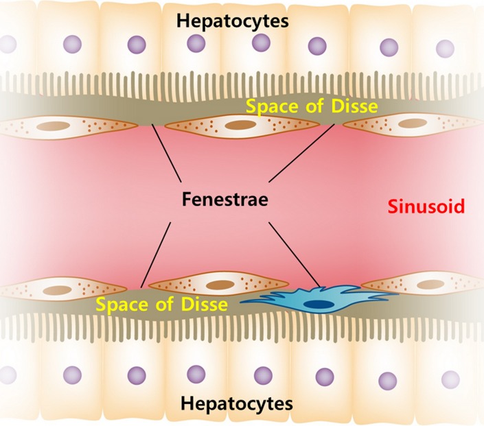 Figure 4b: