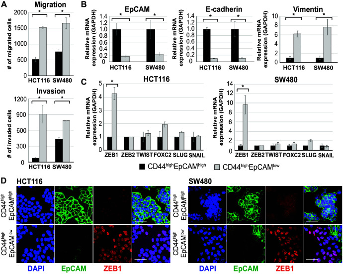 Figure 1—figure supplement 2.