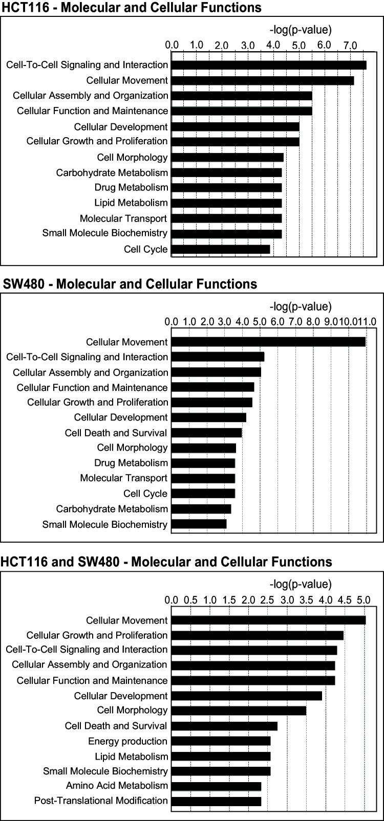 Figure 3—figure supplement 1.