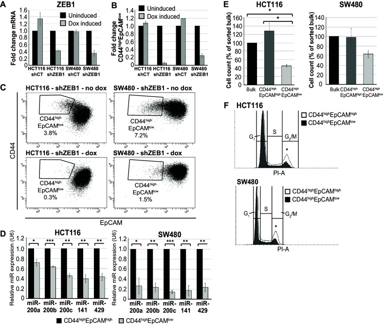 Figure 1—figure supplement 3.