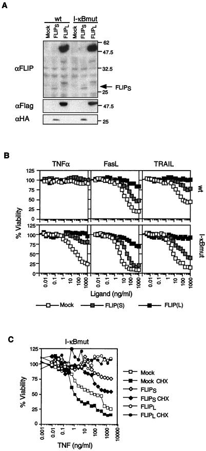 FIG. 6