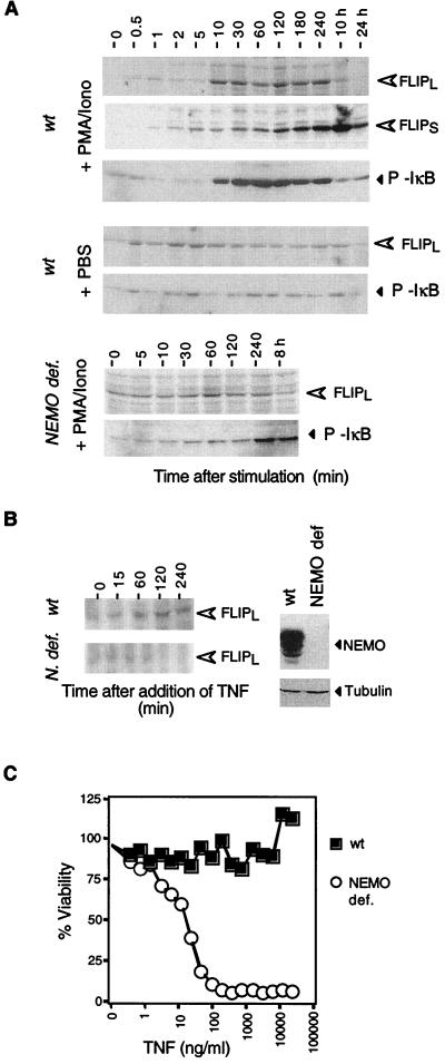 FIG. 5