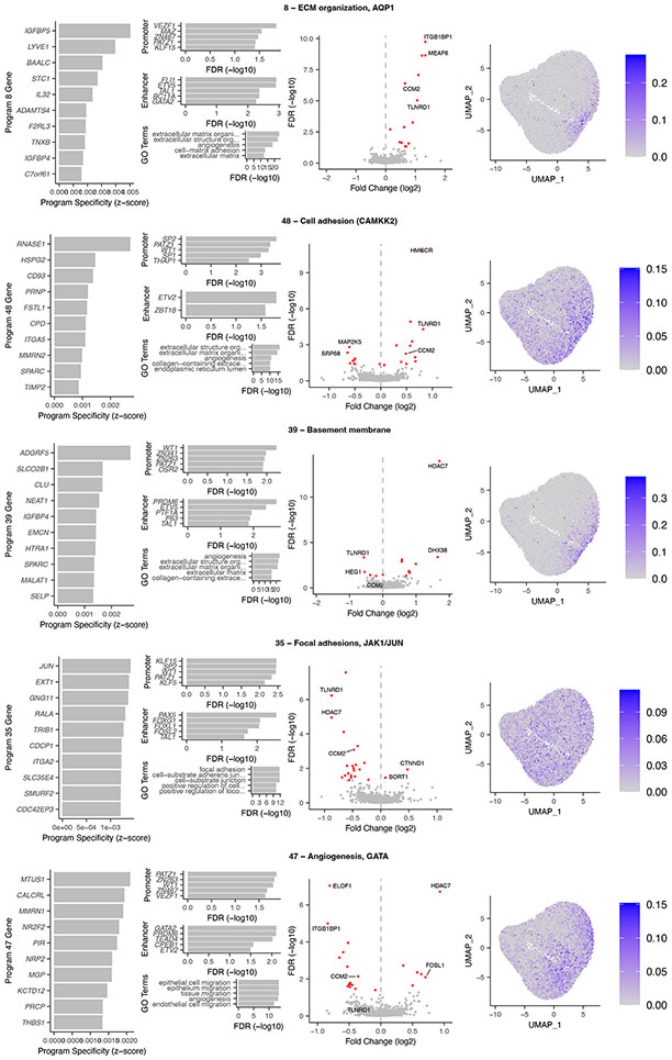 Extended Data Fig. 4.