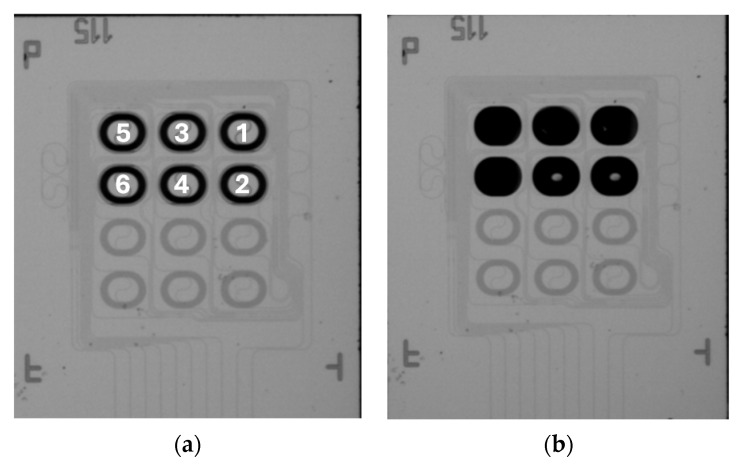 Figure 13