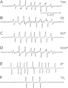 Fig. 1