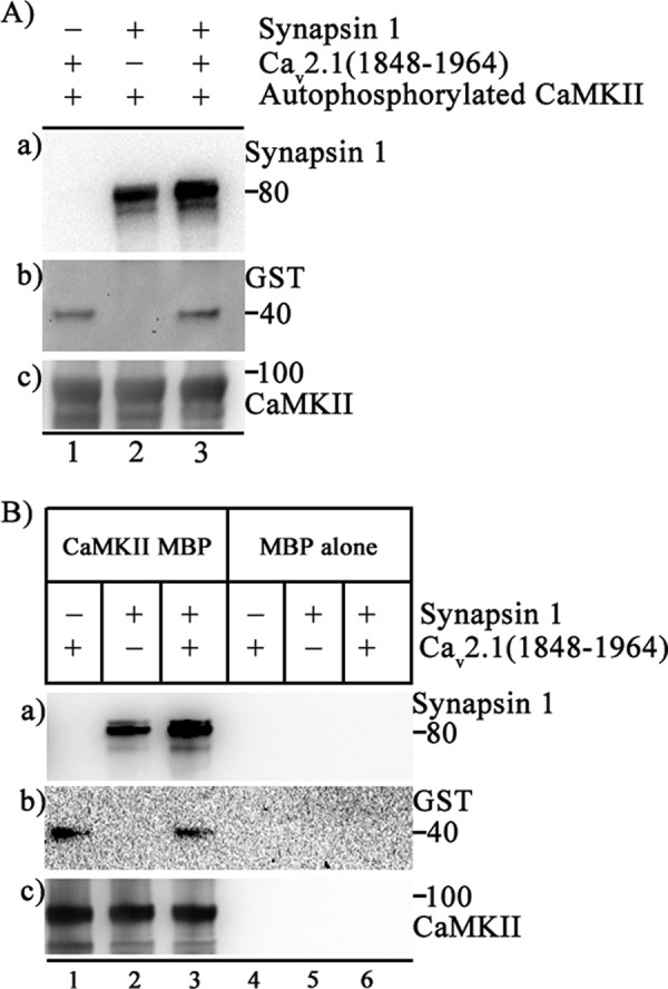 FIGURE 9.