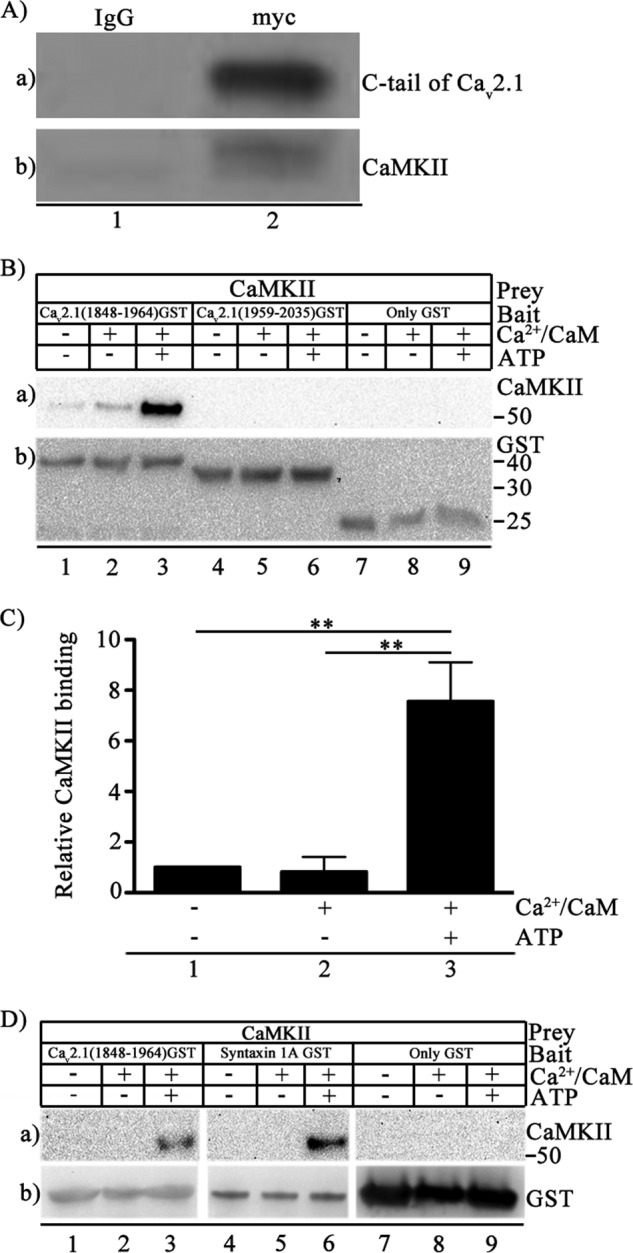 FIGURE 2.