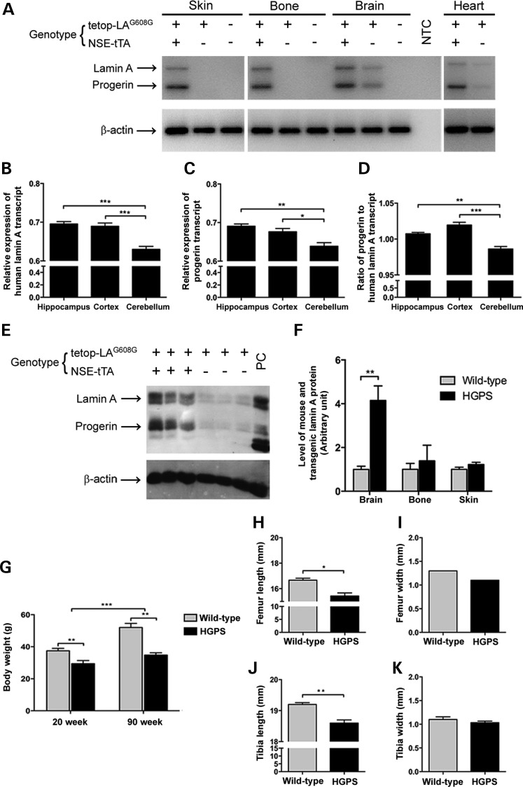 Figure 2.