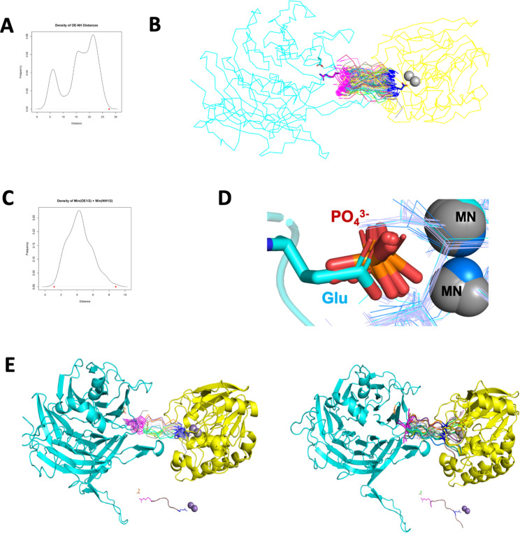 Figure 7—figure supplement 1.