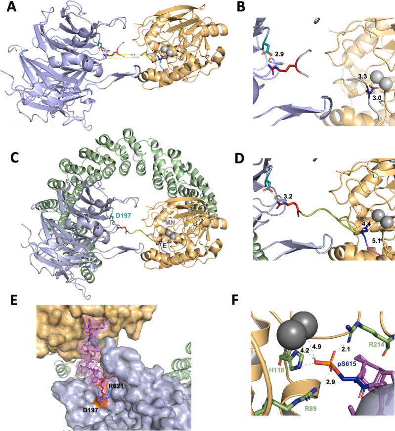 Figure 7.