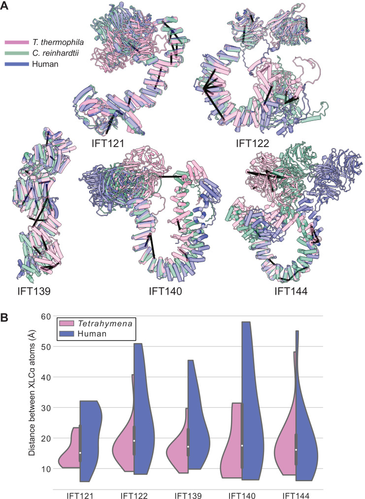 Figure 1—figure supplement 3.