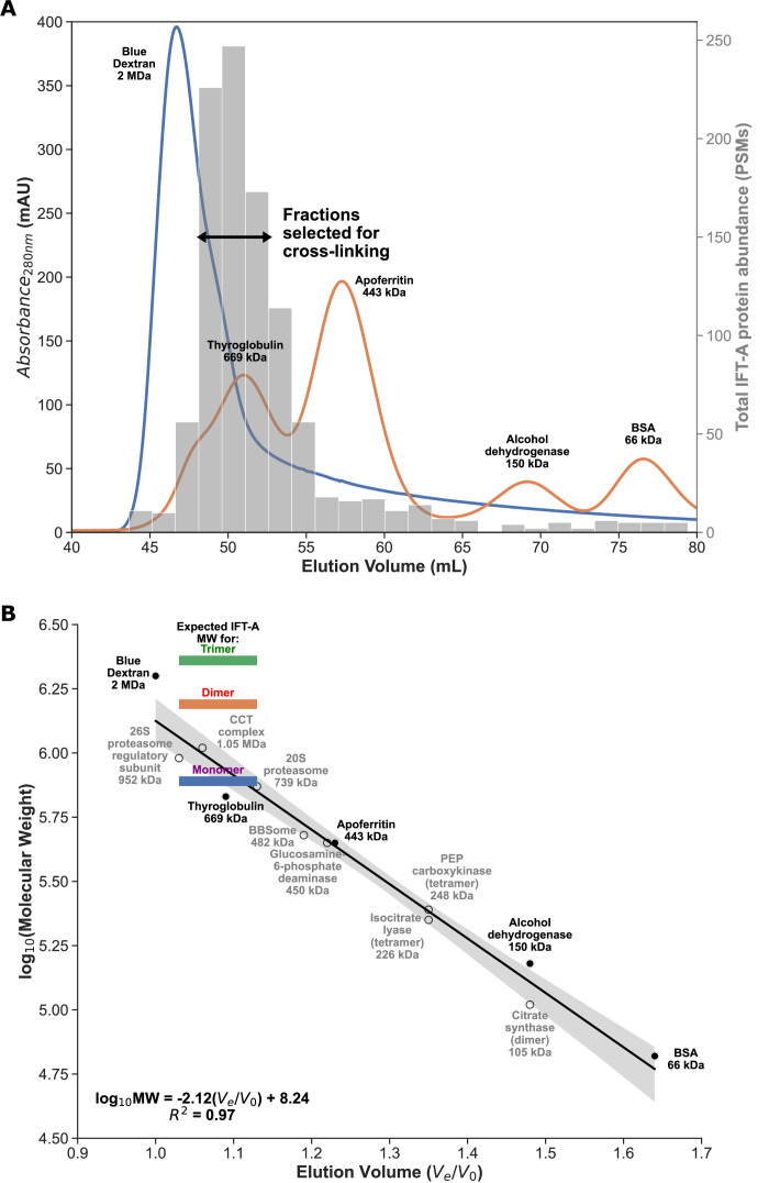 Figure 1—figure supplement 2.