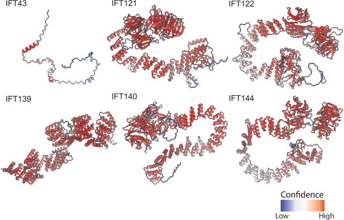 Figure 1—figure supplement 1.