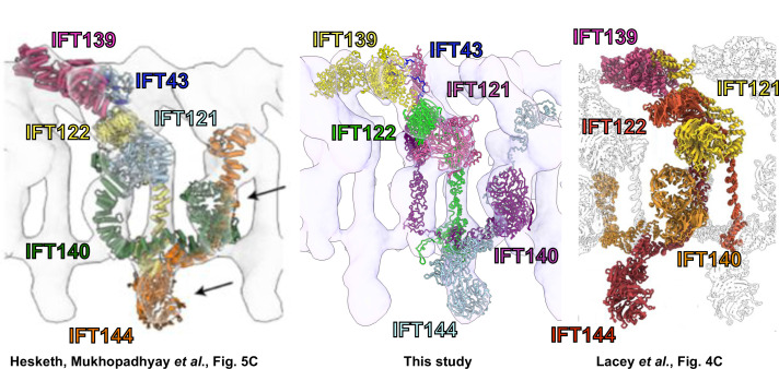 Figure 4—figure supplement 2.