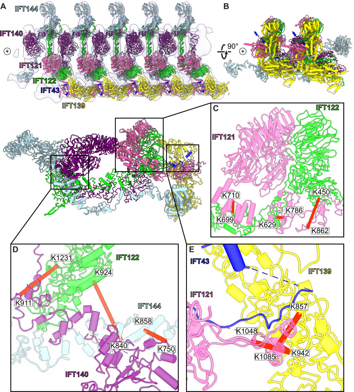 Figure 4.