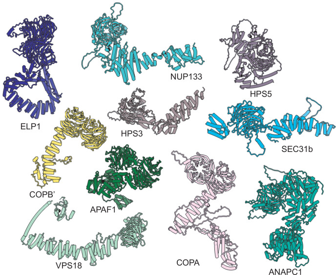 Figure 6—figure supplement 1.