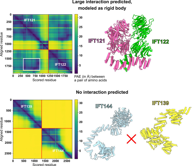 Figure 2—figure supplement 1.