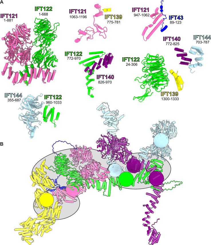 Figure 2—figure supplement 2.