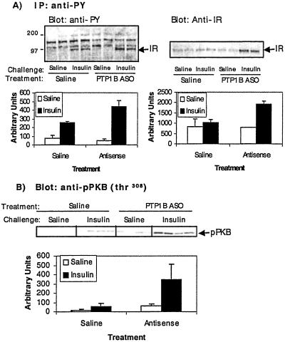 Fig 5.