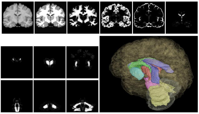 Fig. 10