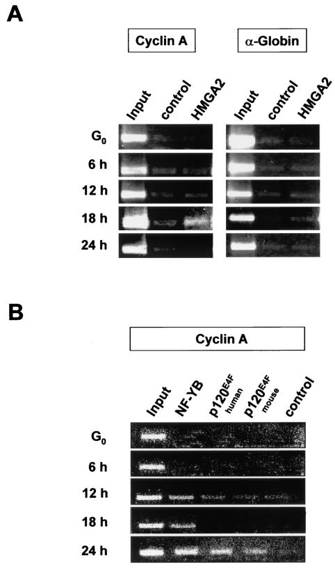 FIG. 8.