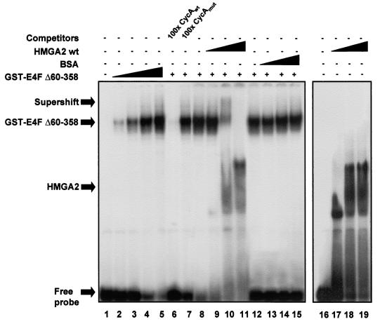 FIG. 7.