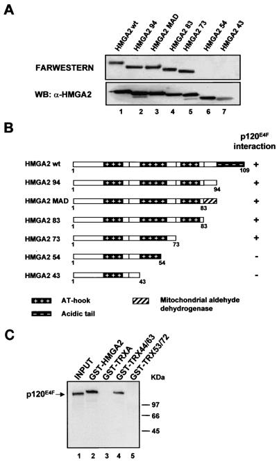 FIG. 6.