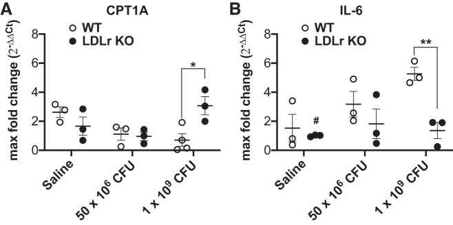 Fig. 8.