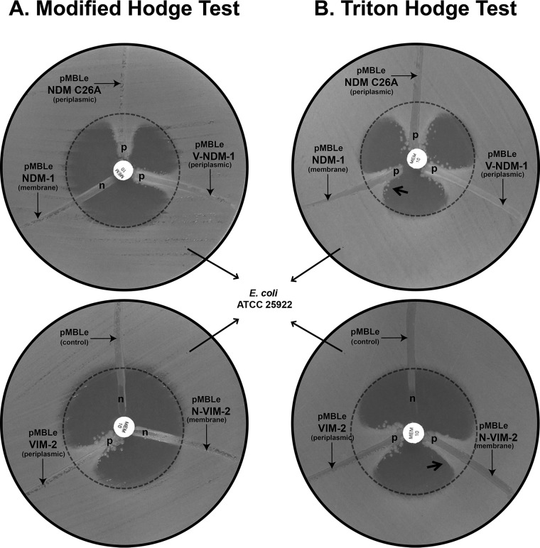 FIG 1