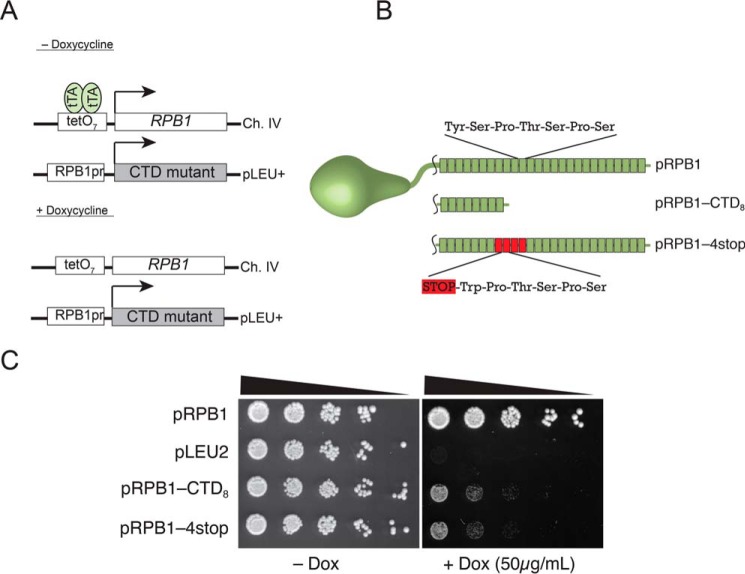 FIGURE 3.