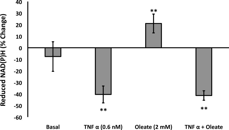 Fig 5