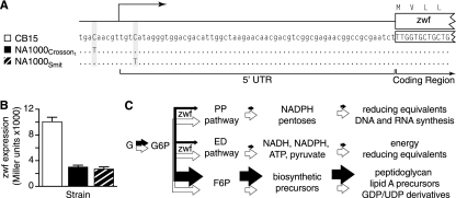 FIG. 6.