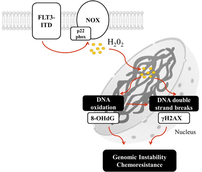 FIGURE 10.