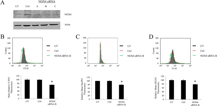 FIGURE 5.