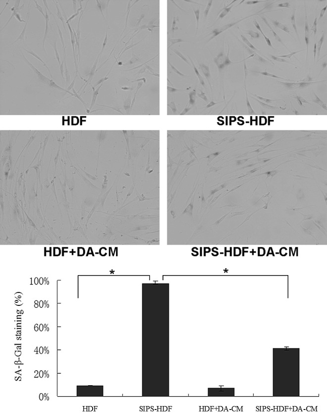 FIG. 8.